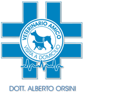 VeterinarioAmico